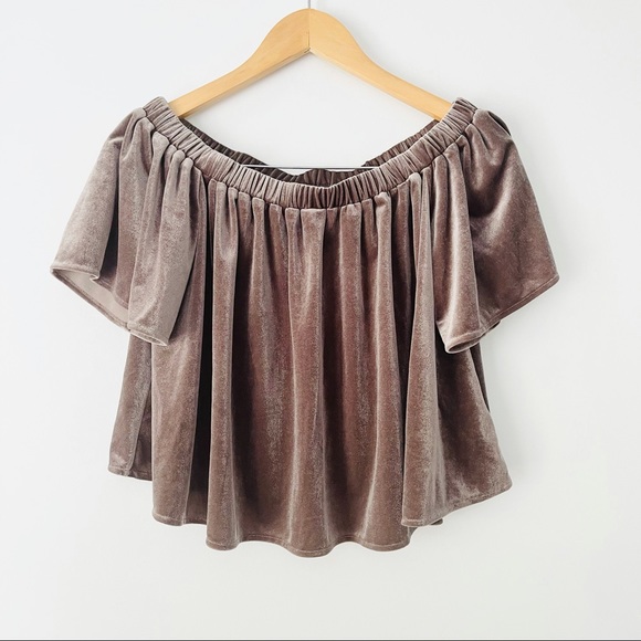 Sunday in Brooklyn Taupe Velvet Off Shoulder Top - Picture 2 of 6